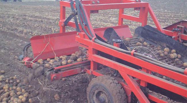 آلة حصاد البطاطا الحلوة المدمجة 700-1300mm عرض العمل Quick ...
